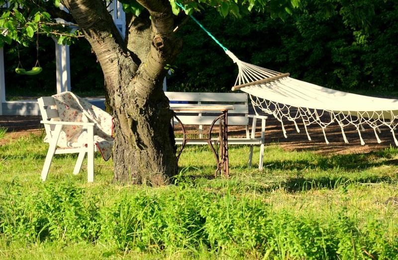 Bed and Breakfast Zielone Zacisze Murzynowo Kościelne Exterior foto